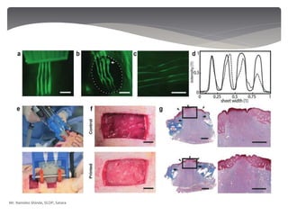Mr. Namdeo Shinde, SCOP, Satara
 