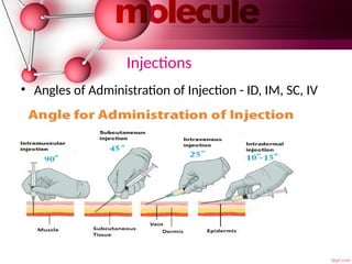 Triangle Method Im Injection Pharmacokinetic processes 05 February.pptx