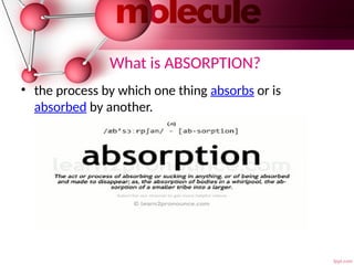 Pharmacokinetic processes 05 February.pptx
