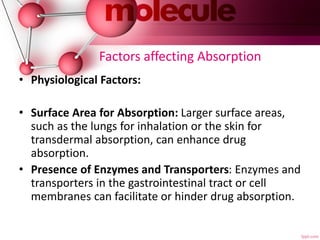Factors affecting Absorption
• Physiological Factors:
• Surface Area for Absorption: Larger surface areas,
such as the lungs for inhalation or the skin for
transdermal absorption, can enhance drug
absorption.
• Presence of Enzymes and Transporters: Enzymes and
transporters in the gastrointestinal tract or cell
membranes can facilitate or hinder drug absorption.
 