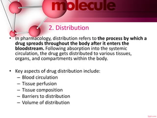 2. Distribution
• In pharmacology, distribution refers to the process by which a
drug spreads throughout the body after it enters the
bloodstream. Following absorption into the systemic
circulation, the drug gets distributed to various tissues,
organs, and compartments within the body.
• Key aspects of drug distribution include:
– Blood circulation
– Tissue perfusion
– Tissue composition
– Barriers to distribution
– Volume of distribution
 