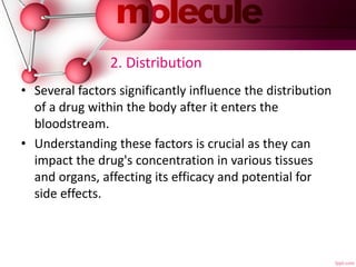 2. Distribution
• Several factors significantly influence the distribution
of a drug within the body after it enters the
bloodstream.
• Understanding these factors is crucial as they can
impact the drug's concentration in various tissues
and organs, affecting its efficacy and potential for
side effects.
 