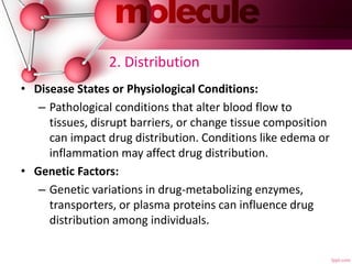 2. Distribution
• Disease States or Physiological Conditions:
– Pathological conditions that alter blood flow to
tissues, disrupt barriers, or change tissue composition
can impact drug distribution. Conditions like edema or
inflammation may affect drug distribution.
• Genetic Factors:
– Genetic variations in drug-metabolizing enzymes,
transporters, or plasma proteins can influence drug
distribution among individuals.
 