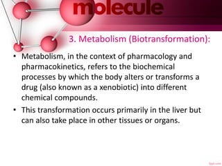 3. Metabolism (Biotransformation):
• Metabolism, in the context of pharmacology and
pharmacokinetics, refers to the biochemical
processes by which the body alters or transforms a
drug (also known as a xenobiotic) into different
chemical compounds.
• This transformation occurs primarily in the liver but
can also take place in other tissues or organs.
 