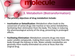 3. Metabolism (Biotransformation):
• The primary objectives of drug metabolism include:
• Inactivation or Detoxification: Metabolism often leads to the
conversion of active drugs into inactive or less active metabolites,
facilitating their elimination from the body. This helps in reducing
the pharmacological activity of the drug, preventing its prolonged
effects.
• Facilitating Elimination: Metabolism converts drugs into more
water-soluble compounds, making them easier to excrete from the
body through the kidneys or bile. Water-soluble metabolites are
generally more readily eliminated via urine or feces than the
original drug.
 