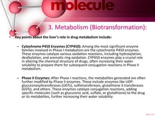 3. Metabolism (Biotransformation):
• Key points about the liver's role in drug metabolism include:
– Cytochrome P450 Enzymes (CYP450): Among the most significant enzyme
families involved in Phase I metabolism are the cytochrome P450 enzymes.
These enzymes catalyze various oxidation reactions, including hydroxylation,
dealkylation, and aromatic ring oxidation. CYP450 enzymes play a crucial role
in altering the chemical structure of drugs, often increasing their water
solubility to prepare them for subsequent conjugation reactions in Phase II
metabolism.
– Phase II Enzymes: After Phase I reactions, the metabolites generated are often
further modified by Phase II enzymes. These include enzymes like UDP-
glucuronosyltransferases (UGTs), sulfotransferases, glutathione S-transferases
(GSTs), and others. These enzymes catalyze conjugation reactions, adding
specific molecules (such as glucuronic acid, sulfate, or glutathione) to the drug
or its metabolites, further increasing their water solubility.
 