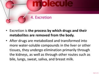 4. Excretion
• Excretion is the process by which drugs and their
metabolites are removed from the body.
• After drugs are metabolized and transformed into
more water-soluble compounds in the liver or other
tissues, they undergo elimination primarily through
the kidneys, as well as through other routes such as
bile, lungs, sweat, saliva, and breast milk.
 