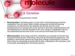 4. Excretion
• Key pathways of drug excretion include:
• Renal Excretion: The kidneys play a crucial role in eliminating drugs and their
metabolites from the body. Water-soluble compounds formed during drug
metabolism are filtered from the blood by the kidneys into the urine.
Subsequently, these compounds can be actively or passively reabsorbed back into
the bloodstream or directly excreted in the urine. Drugs or metabolites that are
not reabsorbed become part of the urine and are eliminated from the body.
• Biliary Excretion: Some drugs and their metabolites are excreted via the bile into
the gastrointestinal tract. From there, they may be eliminated through feces. This
pathway is particularly relevant for drugs that undergo enterohepatic circulation,
where they are repeatedly secreted into the bile, reabsorbed in the intestines, and
re-excreted, prolonging their elimination process.
 