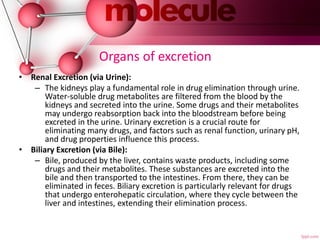Organs of excretion
• Renal Excretion (via Urine):
– The kidneys play a fundamental role in drug elimination through urine.
Water-soluble drug metabolites are filtered from the blood by the
kidneys and secreted into the urine. Some drugs and their metabolites
may undergo reabsorption back into the bloodstream before being
excreted in the urine. Urinary excretion is a crucial route for
eliminating many drugs, and factors such as renal function, urinary pH,
and drug properties influence this process.
• Biliary Excretion (via Bile):
– Bile, produced by the liver, contains waste products, including some
drugs and their metabolites. These substances are excreted into the
bile and then transported to the intestines. From there, they can be
eliminated in feces. Biliary excretion is particularly relevant for drugs
that undergo enterohepatic circulation, where they cycle between the
liver and intestines, extending their elimination process.
 