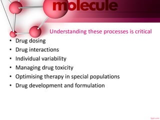 Understanding these processes is critical
• Drug dosing
• Drug interactions
• Individual variability
• Managing drug toxicity
• Optimising therapy in special populations
• Drug development and formulation
 