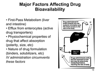 Major Factors Affecting Drug Bioavailability •  First-Pass Metabolism (liver and intestine) •  Efflux from enterocytes (active drug transporters) •  Physiochemical properties of drug that affect absorption (polarity, size, etc) •  Nature of drug formulation (binders, solubilizers, etc) IV administration circumvents these factors 