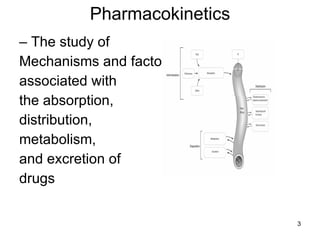 Pharmacokinetics – The study of Mechanisms and factors associated with the absorption, distribution, metabolism, and excretion of drugs 