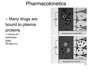 Pharmacokinetics –  Many drugs are bound to plasma proteins » Volume of = distribution Dose [Drug] plasma 