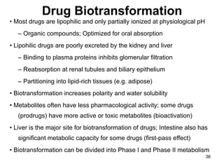 Drug Biotransformation •  Most drugs are lipophilic and only partially ionized at physiological pH –  Organic compounds; Optimized for oral absorption •  Lipohilic drugs are poorly excreted by the kidney and liver –  Binding to plasma proteins inhibits glomerular filtration –  Reabsorption at renal tubules and biliary epithelium –  Partitioning into lipid-rich tissues (e.g. adipose) •  Biotransformation increases polarity and water solubility •  Metabolites often have less pharmacological activity; some drugs (prodrugs) have more active or toxic metabolites (bioactivation) •  Liver is the major site for biotransformation of drugs; Intestine also has significant metabolic capacity for some drugs (first-pass effect) •  Biotransformation can be divided into Phase I and Phase II metabolism 