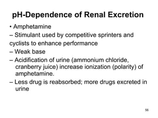 pH-Dependence of Renal Excretion  •  Amphetamine –  Stimulant used by competitive sprinters and cyclists to enhance performance –  Weak base –  Acidification of urine (ammonium chloride, cranberry juice) increase ionization (polarity) of amphetamine. –  Less drug is reabsorbed; more drugs excreted in urine 