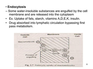 •  Endocytosis –  Some water-insoluble substances are engulfed by the cell membrane and are released into the cytoplasm Ex. Uptake of fats, starch, vitamins A,D,E,K, insulin. Drug absorbed into lymphatic circulation bypassing first pass metabolism. 