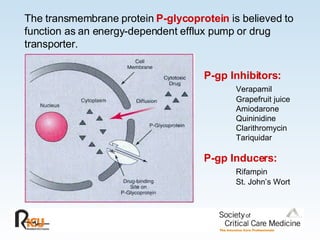 The transmembrane protein  P-glycoprotein   is believed to function as an energy-dependent efflux pump or drug transporter.  P-gp Inhibitors: Verapamil Grapefruit juice Amiodarone Quininidine Clarithromycin Tariquidar P-gp Inducers: Rifampin St. John’s Wort 
