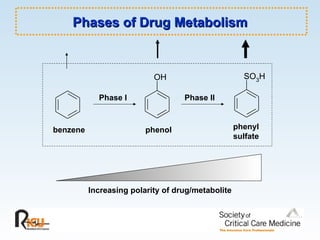 Phases of Drug Metabolism Phase I Phase II benzene phenol phenyl sulfate Increasing polarity of drug/metabolite 