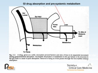 Sites of pre-systemic metabolism via CYP 3A and efflux by P-glycoprotein GI drug absorption and pre-systemic metabolism 