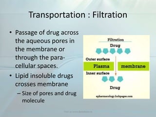 Transportation : Filtration
• Passage of drug across
the aqueous pores in
the membrane or
through the para-
cellular spaces.
• Lipid insoluble drugs
crosses membrane
– Size of pores and drug
molecule
Visit us www.dentaltutor.in
 