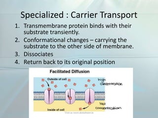 Specialized : Carrier Transport
1. Transmembrane protein binds with their
substrate transiently.
2. Conformational changes – carrying the
substrate to the other side of membrane.
3. Dissociates
4. Return back to its original position
Visit us www.dentaltutor.in
 