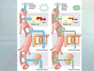 Visit us www.dentaltutor.in
 