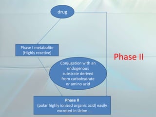 Phase II
drug
Phase I metabolite
(Highly reactive)
Phase II
(polar highly ionized organic acid) easily
excreted in Urine
Conjugation with an
endogenous
substrate derived
from carbohydrate
or amino acid
Visit us www.dentaltutor.in
 