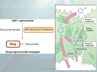 Visit us www.dentaltutor.in
 