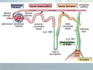 Visit us www.dentaltutor.in
 
