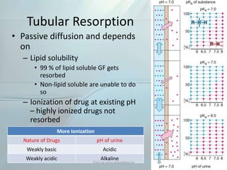 Tubular Resorption
• Passive diffusion and depends
on
– Lipid solubility
• 99 % of lipid soluble GF gets
resorbed
• Non-lipid soluble are unable to do
so
– Ionization of drug at existing pH
– highly ionized drugs not
resorbed
More Ionization
Nature of Drugs pH of urine
Weakly basic Acidic
Weakly acidic Alkaline
Visit us www.dentaltutor.in
 