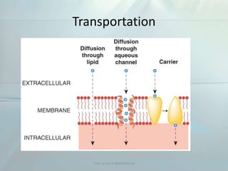 Transportation
Visit us www.dentaltutor.in
 