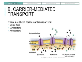 B. CARRIER-MEDIATED
TRANSPORT
There are three classes of transporters:
 Uniporters
 Symporters
 Antiporters
Absorption Distribution Metabolism Elimination
 