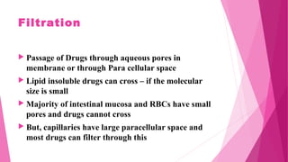 Filtration
 Passage of Drugs through aqueous pores in
membrane or through Para cellular space
 Lipid insoluble drugs can cross – if the molecular
size is small
 Majority of intestinal mucosa and RBCs have small
pores and drugs cannot cross
 But, capillaries have large paracellular space and
most drugs can filter through this
 