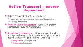 Active Transport – energy
dependent
 Active (concentrative) transporters
 can move solutes against a concentration gradient
 energy dependent
 Primary active transporters - generate energy
themselves (e.g. ATP hydrolysis)
 Secondary transporters - utilize energy stored in
voltage and ion gradients generated by a primary
active transporter (e.g. Na+/K+-ATPase)
 Symporters (Co-transporters)
 Antiporters (Exchangers)
 