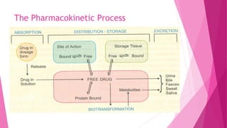 The Pharmacokinetic Process
 