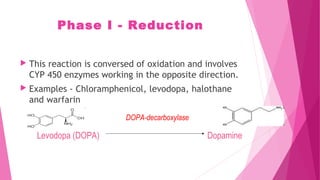 Phase I - Reduction
 This reaction is conversed of oxidation and involves
CYP 450 enzymes working in the opposite direction.
 Examples - Chloramphenicol, levodopa, halothane
and warfarin
Levodopa (DOPA) Dopamine
DOPA-decarboxylase
 