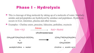 Phase I - Hydrolysis
 This is cleavage of drug molecule by taking up of a molecule of water. Similarly
amides and polypeptides are hydrolyzed by amidase and peptidases. Hydrolysis
occurs in liver, intestines, plasma and other tissues.
 Examples - Choline esters, procaine, lidocaine, pethidine, oxytocin
Ester + H20 Acid + Alcohol
Esterase
 