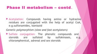 Phase II metabolism – contd.
 Acetylation: Compounds having amino or hydrazine
residues are conjugated with the help of acetyl CoA,
e.g.sulfonamides, isoniazid
Genetic polymorphism (slow and fast acetylators)
 Sulfate conjugation: The phenolic compounds and
steroids are sulfated by sulfokinases, e.g.
chloramphenicol, adrenal and sex steroids
 
