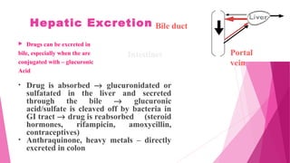 Hepatic Excretion
 Drugs can be excreted in
bile, especially when the are
conjugated with – glucuronic
Acid
• Drug is absorbed → glucuronidated or
sulfatated in the liver and secreted
through the bile → glucuronic
acid/sulfate is cleaved off by bacteria in
GI tract → drug is reabsorbed (steroid
hormones, rifampicin, amoxycillin,
contraceptives)
• Anthraquinone, heavy metals – directly
excreted in colon
Portal
vein
Bile duct
Intestines
 