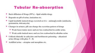 Tubular Re-absorption
 Back diffusion of Drugs (99%) – lipid soluble drugs
 Depends on pH of urine, ionization etc.
 Lipid insoluble ionized drugs excreted as it is – aminoglycoside (amikacin,
gentamicin, tobramycin)
 Changes in urinary pH can change the excretion pattern of drugs
 Weak bases ionize more and are less reabsorbed in acidic urine.
 Weak acids ionized more and are less reabsorbed in alkaline urine
 Utilized clinically in salicylate and barbiturate poisoning – alkanized
urine (Drugs with pKa: 5 – 8)
 Acidified urine – atropine and morphine etc.
 