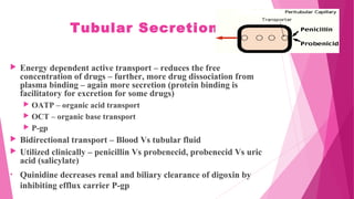 Tubular Secretion
 Energy dependent active transport – reduces the free
concentration of drugs – further, more drug dissociation from
plasma binding – again more secretion (protein binding is
facilitatory for excretion for some drugs)
 OATP – organic acid transport
 OCT – organic base transport
 P-gp
 Bidirectional transport – Blood Vs tubular fluid
 Utilized clinically – penicillin Vs probenecid, probenecid Vs uric
acid (salicylate)
• Quinidine decreases renal and biliary clearance of digoxin by
inhibiting efflux carrier P-gp
 