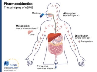 Pharmacokinetics
