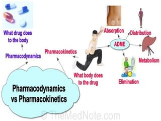 Pharmacokinetics