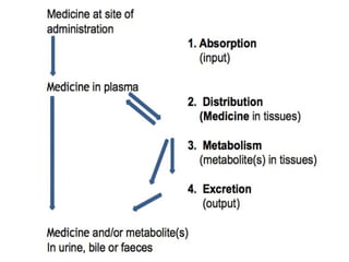 Pharmacokinetics