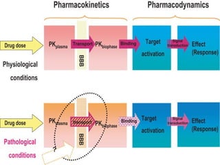 Pharmacokinetics