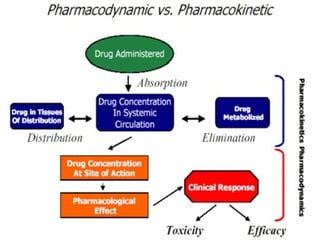 Pharmacokinetics