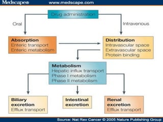 Pharmacokinetics