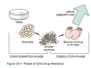 Pharmacokinetics