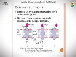 Pharmacokinetics