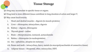 Tissue Storage
 Drug may accumulate in specific tissue or organs.
 Drug tend to store different tissue contribute to long duration of action and larger V.
 May cause local toxicity.
i. Heart and skeletal muscles – digoxin (to muscle proteins)
ii. Liver – chloroquine, tetracyclines, digoxin
iii. Kidney – digoxin, chloroquine
iv. Thyroid gland – iodine
v. Brain – chlorpromazine, isoniazid, acetazolamide
vi. Retina – chloroquine (to nucleoproteins)
vii. Iris – ephedrine, atropine (to melanin)
viii. Bones and teeth – tetracyclines, heavy metals (to mucopolysaccharide of connective tissue)
ix. Adipose tissues – thiopental, ether, minocycline, DDT.
 